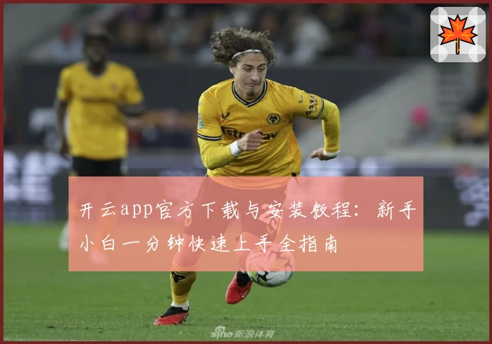 开云app官方下载与安装教程：新手小白一分钟快速上手全指南