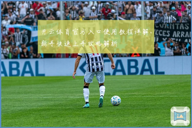 开云体育官方入口使用教程详解，新手快速上手攻略解析