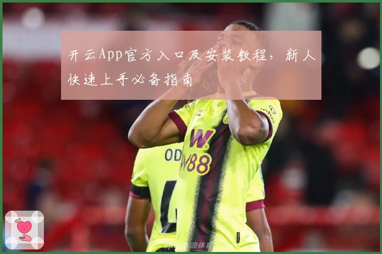 开云App官方入口及安装教程，新人快速上手必备指南