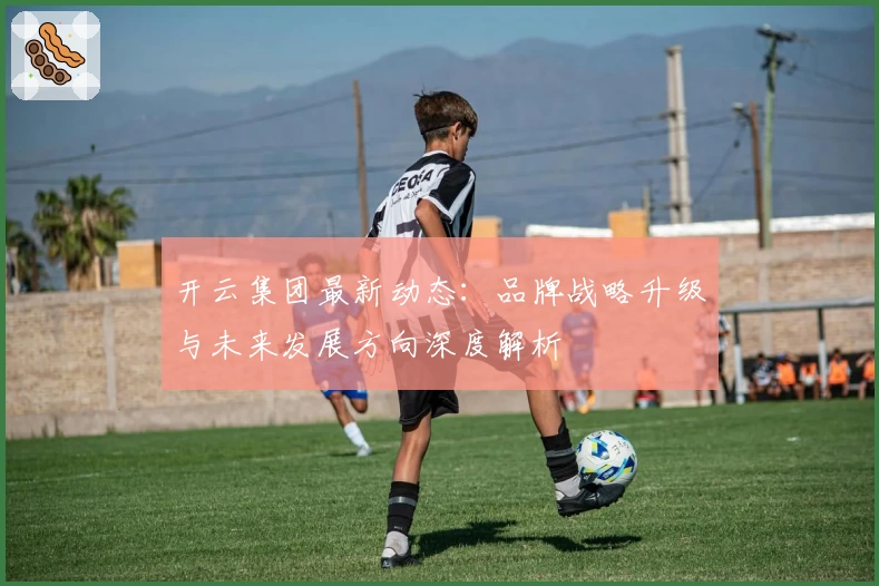 开云集团最新动态:品牌战略升级与未来发展方向深度解析